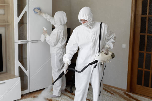 Mold Removal Process in Nesconset, NY